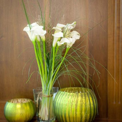 Blumen in der Kanzlei